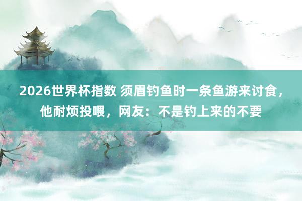 2026世界杯指数 须眉钓鱼时一条鱼游来讨食，他耐烦投喂，网友：不是钓上来的不要