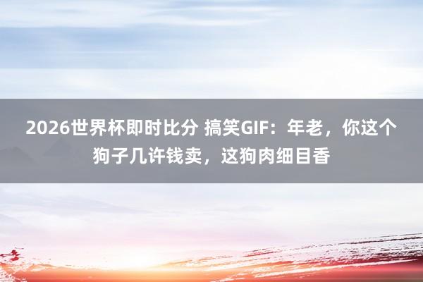 2026世界杯即时比分 搞笑GIF：年老，你这个狗子几许钱卖，这狗肉细目香