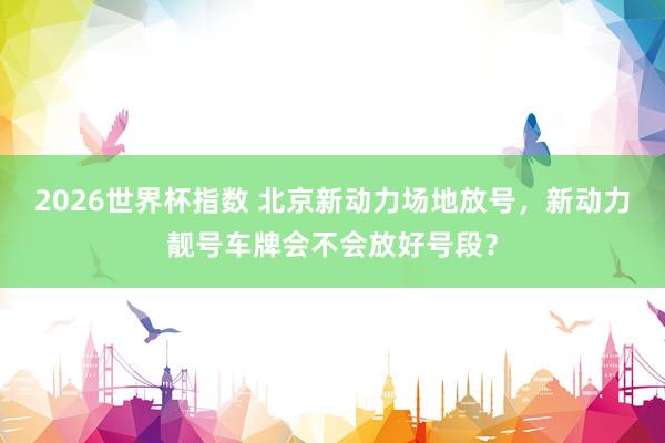 2026世界杯指数 北京新动力场地放号，新动力靓号车牌会不会放好号段？