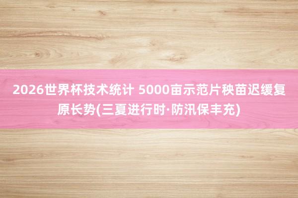 2026世界杯技术统计 5000亩示范片秧苗迟缓复原长势(三夏进行时·防汛保丰充)