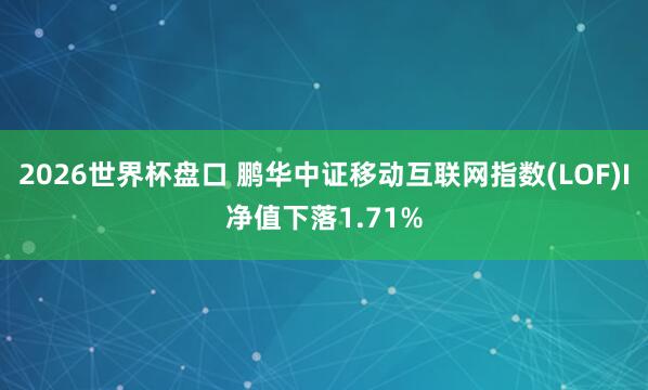 2026世界杯盘口 鹏华中证移动互联网指数(LOF)I净值下落1.71%