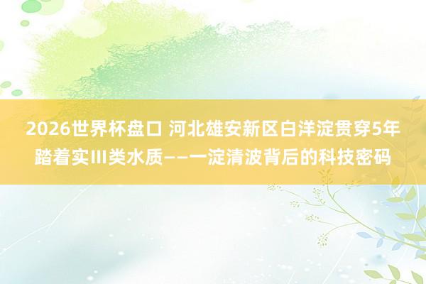 2026世界杯盘口 河北雄安新区白洋淀贯穿5年踏着实Ⅲ类水质——一淀清波背后的科技密码