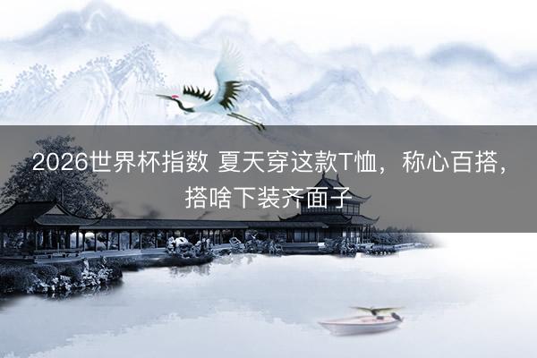 2026世界杯指数 夏天穿这款T恤,称心百搭,搭啥下装齐面子