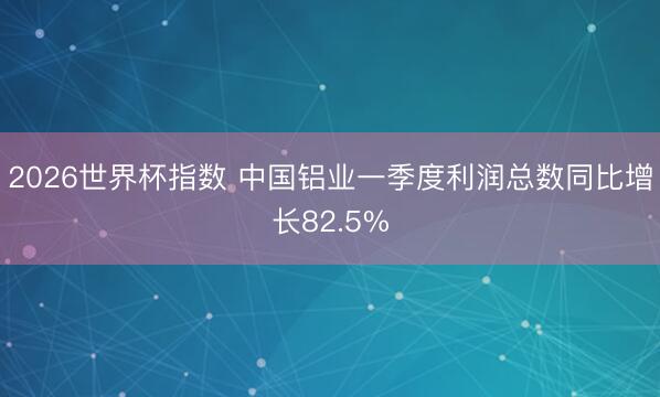 2026世界杯指数 中国铝业一季度利润总数同比增长82.5%