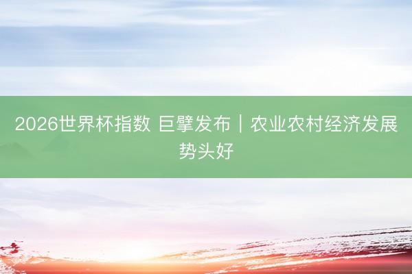 2026世界杯指数 巨擘发布｜农业农村经济发展势头好