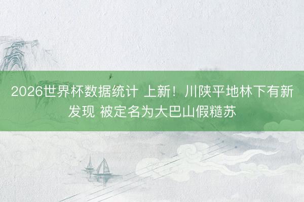 2026世界杯数据统计 上新！川陕平地林下有新发现 被定名为大巴山假糙苏