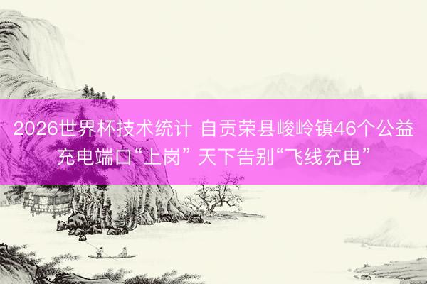 2026世界杯技术统计 自贡荣县峻岭镇46个公益充电端口“上岗” 天下告别“飞线充电”
