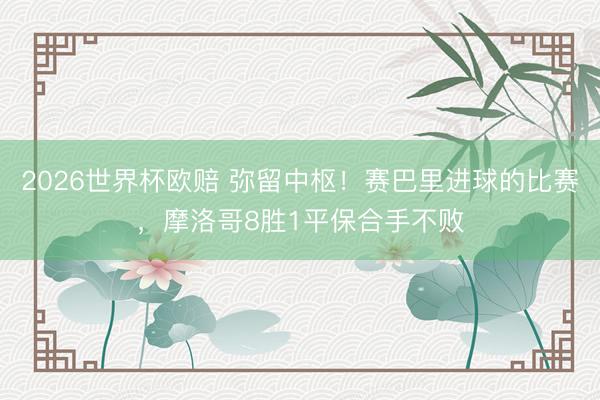 2026世界杯欧赔 弥留中枢!赛巴里进球的比赛,摩洛哥8胜1平保合手不败